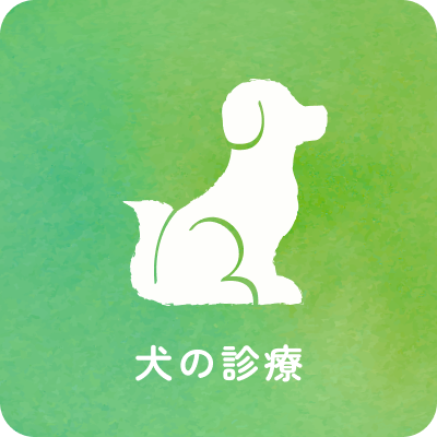 犬の診療