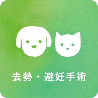 去勢・避妊手術